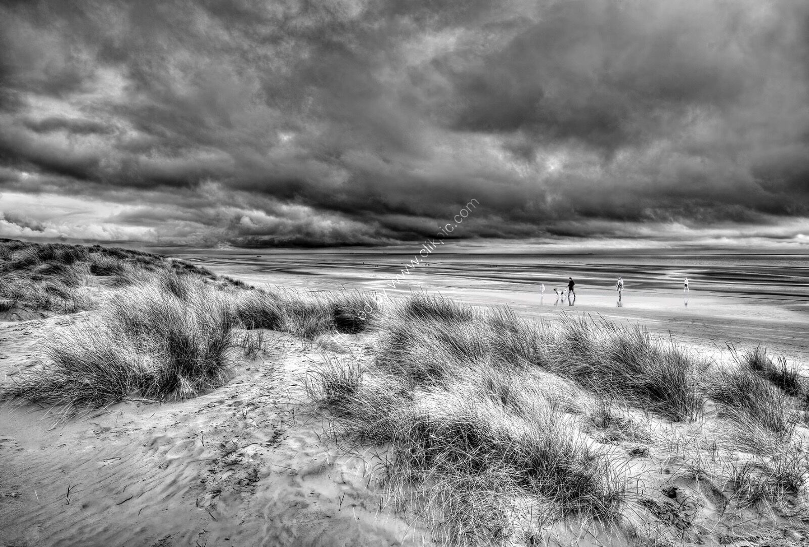 A walk ahead of the storm