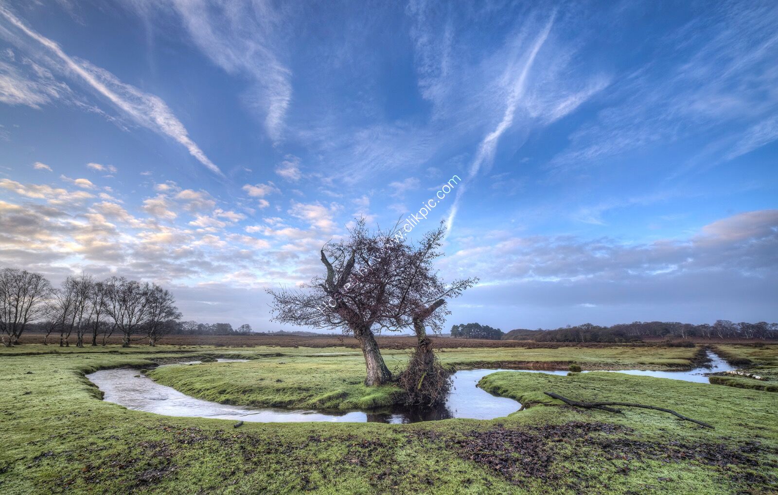 H/C - Tree on Winding Stream