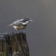 Its Raining and I'm not happy