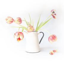 2nd place......Past their best