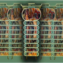 In the Shadows of the Leader - H/C