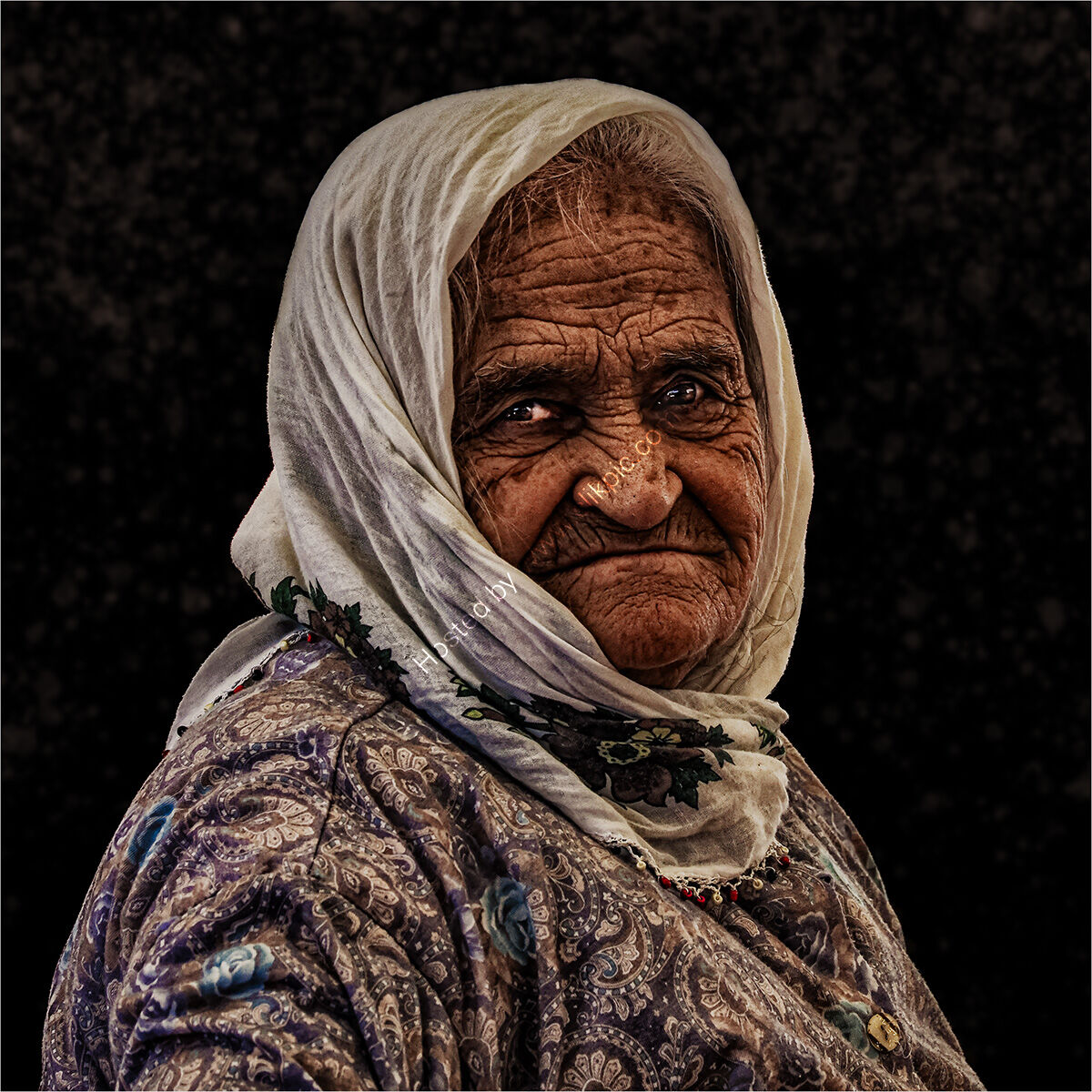 Market Lady - H/C -