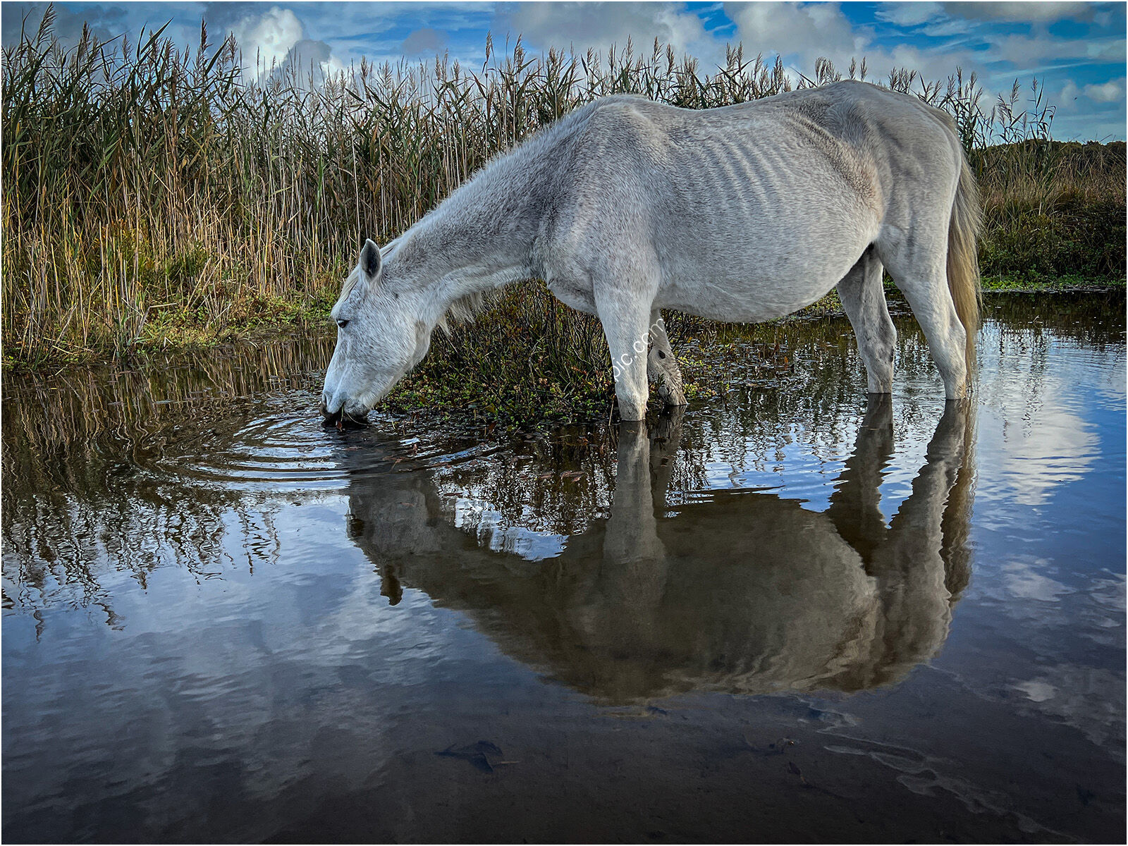 H/C -  Testing the water