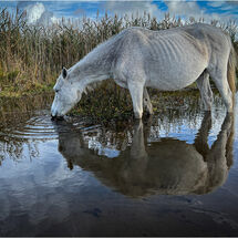 H/C -  Testing the water