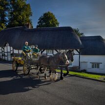 H/C  Rush Hour in Wherwell