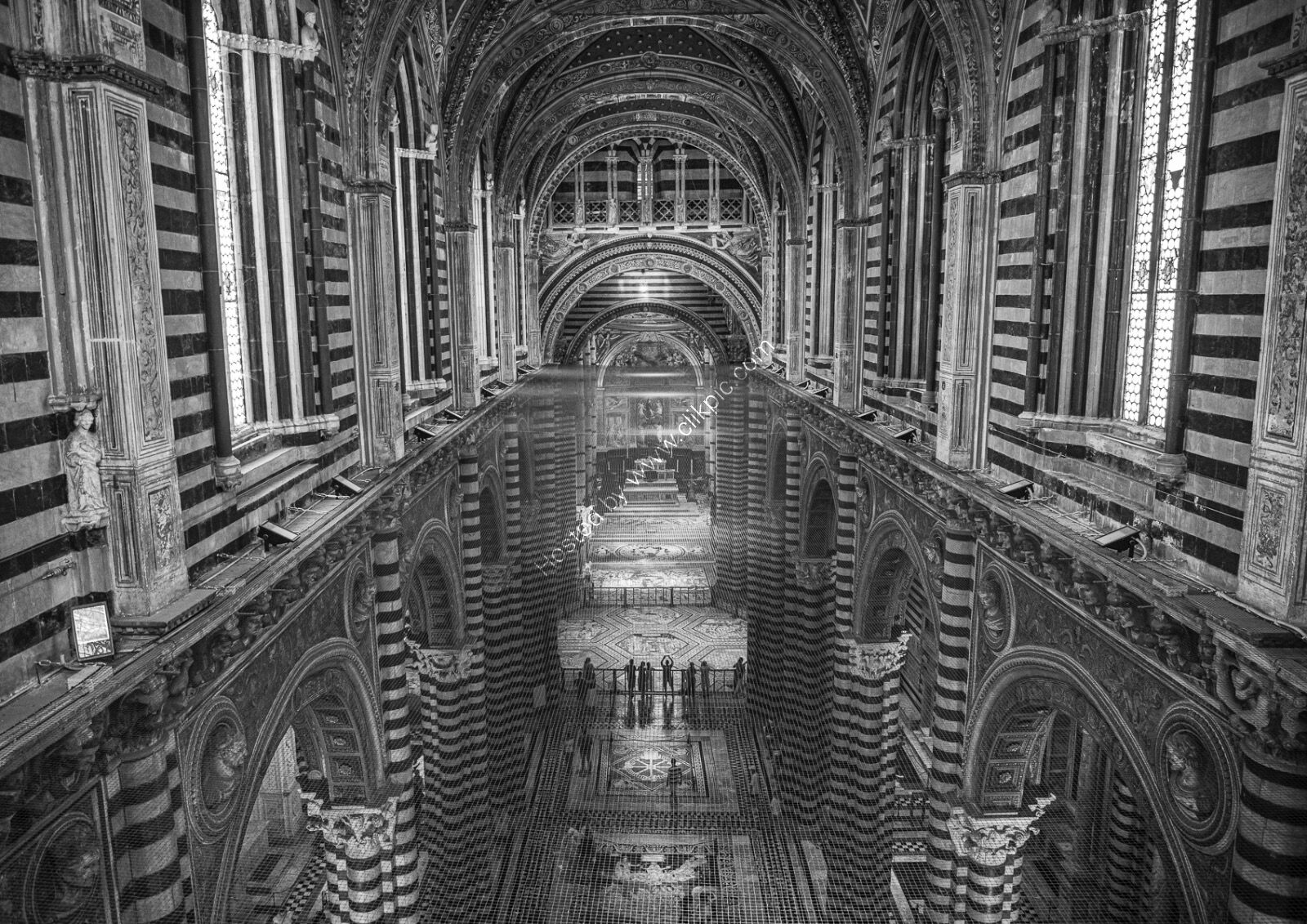 2nd place....Duomo di Siena
