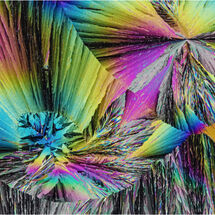Salol Crystals