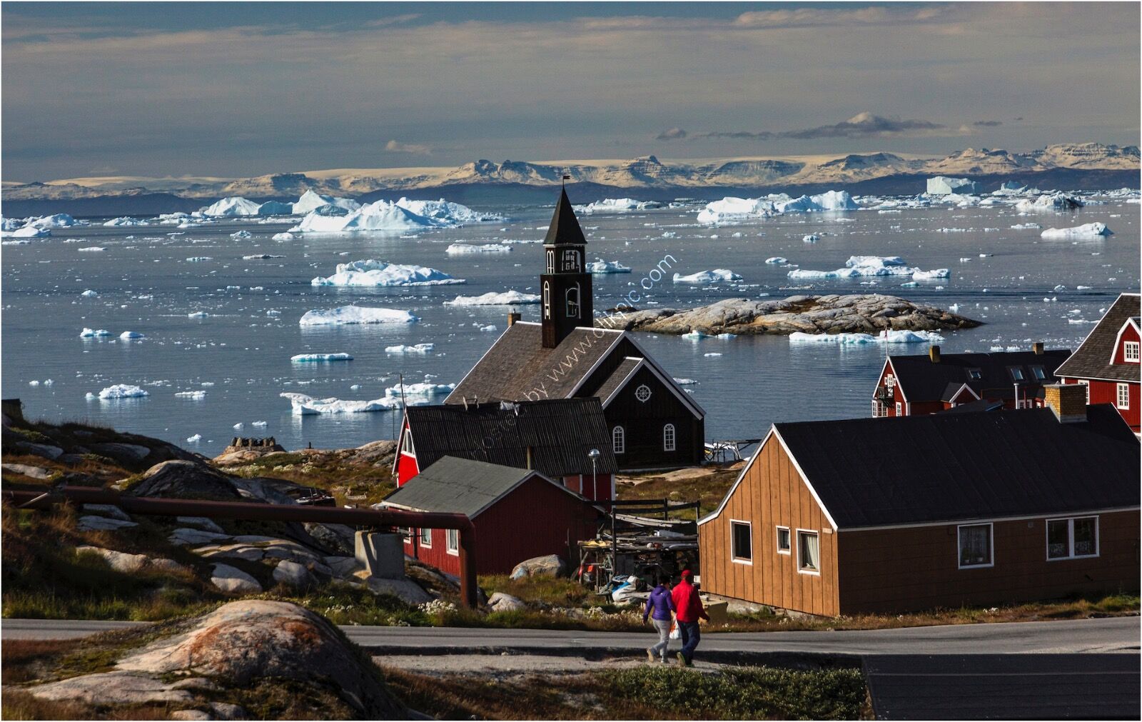 Arctic View - 1st Place