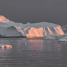 Catching the Evening Light