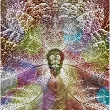 Oil Stained Leaf - H/C -