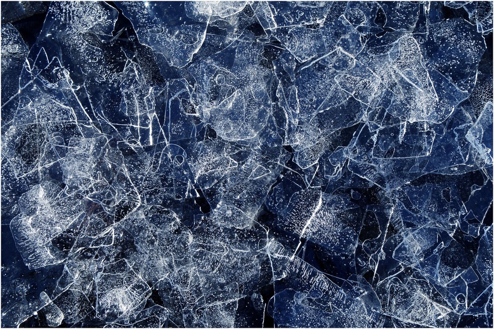 Shattered - 1st Place