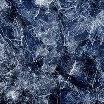 Bernard Hutton Trophy 2025