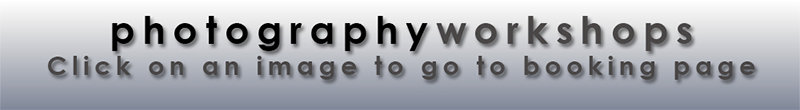 Booking Banner