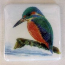 Kingfisher glass tile