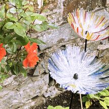 Two glittery circles