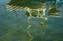 Murky Waters