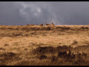 Autumn On Exmoor