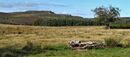 Longshaw Estate