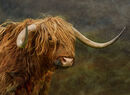 Mind those Horns!