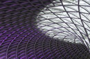 Concourse roof at Kings Cross
