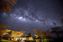 Under African Skies