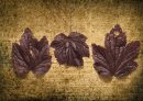 3 leaves