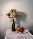 Apples and Faded Hydrageas