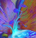 Birth of a Triffid