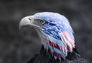 Born in the USA
