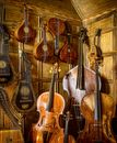 Corner of the Music Room