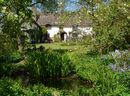 Cottage pond