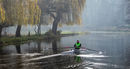 Gently Down the Stream