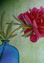 Peony in a Blue Bottle