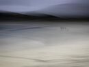 Reef Beach Stroll