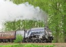 Sir Nigel Grisley