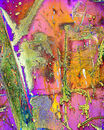 So what do you see