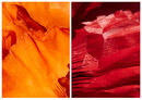 Soft Canyons (Poppies)