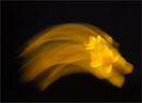Solar Flare