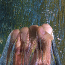 Water Punch