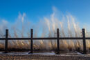 Wave Motion
