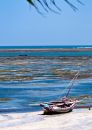 Where trade winds blow