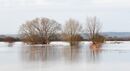 Winter Floods