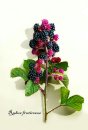 blackberry
