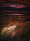 Evening poppy fields