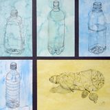 Bottles at Sea