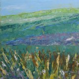 Border Hills in High Summer