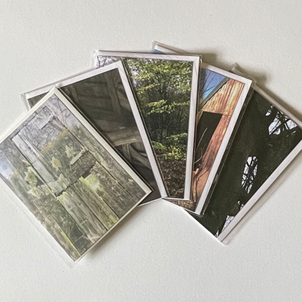 5 assorted greeting cards arranged in an arc