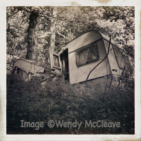 Black and white photograph of a caravan crushed by a tree