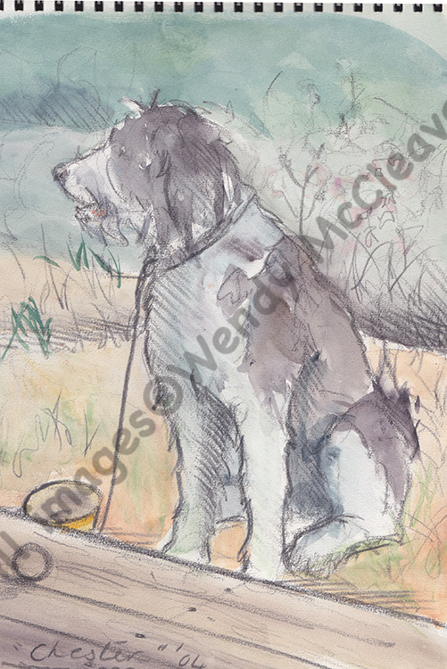 A pencil and wash sketch of my late dog, Chester, at the beach hut in Mudeford