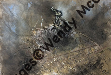 Fixed charcoal and pastel on prepared paper. A corvid nest with mummified young bird.